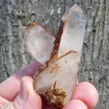 Quartz<br />Ceres, Warmbokkeveld Valley, Ceres, Valle Warmbokkeveld, Witzenberg, Cape Winelands, Western Cape Province, South Africa<br />Hands for size.<br /> (Author: Pierre Joubert)