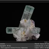 Tourmaline<br />Mawi Pegmatite, Nilaw-Kolum, Du Ab District, Nuristan Province, Afghanistan<br />fov 40 mm<br /> (Author: ploum)