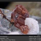 Spessartine (Garnet Group)Nagar, Valle Hunza, Distrito Nagar, Gilgit-Baltistan (Áreas del Norte), Paquistánfov 7 mm (Author: ploum)
