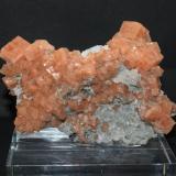 Chabazite-Ca<br />Imilchil area, Anti-Atlas, Er Rachidia Province, Drâa-Tafilalet Region, Morocco<br />80mm x 55mm x 25mm<br /> (Author: Philippe Durand)