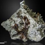 Brookite<br />Zard Mountain, Ras Koh Mountains, Kharan District, Balochistan (Baluchistan), Pakistan<br />87 X 68 mm<br /> (Author: Manuel Mesa)