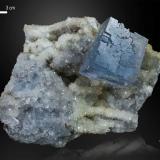 Fluorite on Quartz<br />La Viesca Mine, La Collada mining area, Huergo, Siero, Comarca Oviedo, Principality of Asturias (Asturias), Spain<br />114 X 105 mm<br /> (Author: Manuel Mesa)