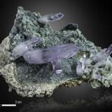 Quartz (variety amethyst)<br />Cerro de la Concordia, Piedra Parada (Las Vigas), Municipio Tatatila, Veracruz (Veracruz de Ignacio de la Llave), Mexico<br />96 X 68 mm<br /> (Author: Manuel Mesa)