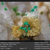 Mimetite and Malachite on Quartz<br />Mas Dieu, Mercoirol, Alès, Gard, Occitanie, France<br />fov 7 mm<br /> (Author: ploum)