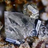 Calcita, Fluorapatito, PseudobrookitaNuestra Señora del Carmen Mines, La Celia, Jumilla, Comarca Altiplano, Region of Murcia (Murcia), SpainCampo de visión 4 mm (Autor: Juan Miguel)