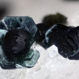 ClinocloroGuainos Bajos outcrops (Highway Adra-Motril), Guainos Bajos, Adra, Comarca Poniente Almeriense, Almería, Andalusia, SpainCampo de visión 2,7 mm (Autor: Juan Miguel)