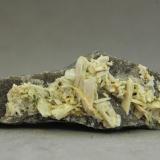 Paravauxita<br />Mina Siglo XX, Llallagua, Provincia Rafael Bustillo, Departamento Potosí, Bolivia<br />45x15x15 mm<br /> (Autor: Juan Espino)