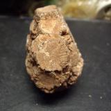 AragonitoBuezo (hacia el Santuario de Santa Casilda), Salinillas de Bureba, Comarca La Bureba, Burgos, Castilla y León, España6 cm diámetro x 4 cm alto (Autor: Toño P)