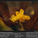 Sideronatrite and DestineziteMina Coronel Manuel Rodríguez, Península Mejillones, Mejillones, Provincia Antofagasta, Región Antofagasta, Chilefov 1.4 mm (Author: ploum)