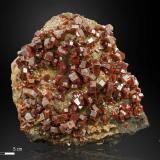 Vanadinite<br />Mibladen (Mibladen mining district), Midelt, Midelt Province, Drâa-Tafilalet Region, Morocco<br />151 x 128 mm<br /> (Author: Manuel Mesa)