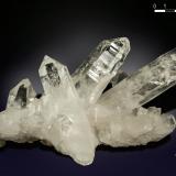 Quartz<br />Alchuri, Shigar District, Gilgit-Baltistan (Northern Areas), Pakistan<br />210 x 93 mm<br /> (Author: Manuel Mesa)