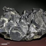 Galena<br />Gyudyurska Mine, Zlatograd, Smolyan Oblast, Bulgaria<br />103 x 65 mm<br /> (Author: Manuel Mesa)