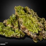 Pyromorphite<br />Daoping Mine, Gongcheng, Guilin Prefecture, Guangxi Zhuang Autonomous Region, China<br />117 X 67 mm<br /> (Author: Manuel Mesa)