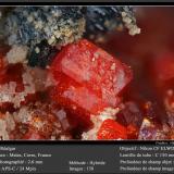 Realgar<br />Matra Mine, Matra, Ghisonaccia, Corte, Haute-Corse, Corsica/Corse, France<br />fov 2.6 mm<br /> (Author: ploum)