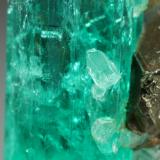 Beryl (variety emerald), Pyrite<br />Chivor mining district, Municipio Chivor, Eastern Emerald Belt, Boyacá Department, Colombia<br />xl=19x7.5mm<br /> (Author: Fiebre Verde)