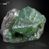 Fluorite<br />Riemvasmaak, Orange river area, Kakamas, ZF Mgcawu District, Northern Cape Province, South Africa<br />125 X 105 mm<br /> (Author: Manuel Mesa)