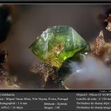 Libethenite<br />Miguel Vacas Mine, Pardais and Conceição Parish, Vila Viçosa, Évora District, Alentejo Central Province, Alentejo Region, Portugal<br />fov 1.4 mm<br /> (Author: ploum)