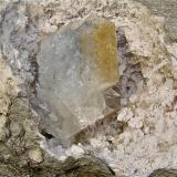Celestine on Quartz<br />Hoosier Stone Company Salem (Salem Quarry), Salem,  Washington County, Indiana, USA<br />celestine is 4.5 cm<br /> (Author: Bob Harman)