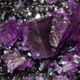 Fluorite<br />Annabel Lee Mine, Harris Creek Sub-District, Hardin County, Illinois, USA<br />6.2 x 8.5 cm<br /> (Author: crosstimber)