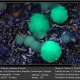 Theisite, Adamite and Azurite<br />Les Ferreres Mine, Rocabruna, Camprodon, Comarca Ripollès, Gerona / Girona, Catalonia / Catalunya, Spain<br />fov 1.4 mm<br /> (Author: ploum)