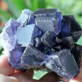 Fluorite<br />La Viesca Mine, <i>La Negrina</i> pocket, La Collada mining area, Huergo, Siero, Comarca Oviedo, Principality of Asturias (Asturias), Spain<br />100mm x 90mm x 80mm<br /> (Author: Philippe Durand)