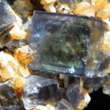 Fluorite<br />Okorusu Mine, Otjiwarongo District, Otjozondjupa Region, Namibia<br />110mmx45mmx50mm<br /> (Author: Heimo Hellwig)