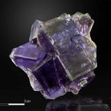 Fluorite<br />La Cabaña, Valdelmar, Berbes mining area, Berbes, Ribadesella, Comarca Oriente, Principality of Asturias (Asturias), Spain<br />55 x 51 mm<br /> (Author: Manuel Mesa)