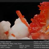 Realgar and HörnesiteMatra Mine, Matra, Ghisonaccia, Corte, Haute-Corse, Corsica/Corse, Francefov 2.8 mm (Author: ploum)