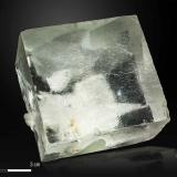 FluoriteJaimina Mine, Obdulia vein, Caravia mining area, Trechorio, Carrales, Caravia, Comarca Oriente, Principality of Asturias (Asturias), Spain53 X 49 mm (Author: Manuel Mesa)