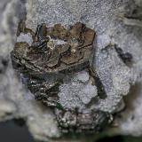 Quartz, Pyrrhotite<br />Nikolaevski Mine, Dalnegorsk, Dalnegorsk Urban District, Primorsky Krai, Far-Eastern Region, Russia<br /><br /> (Author: am mizunaka)