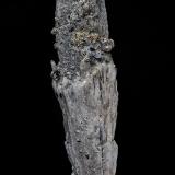 Quartz, Pyrrhotite<br />Nikolaevski Mine, Dalnegorsk, Dalnegorsk Urban District, Primorsky Krai, Far-Eastern Region, Russia<br />18.4 x 3.8 cm<br /> (Author: am mizunaka)