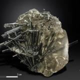 Stibnite and CalcitXikuangshan depósito de antimonio, Lengshuijiang, Prefectura  Loudi, Provincia Hunan, China65 X 54 mm (Author: Manuel Mesa)