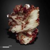 Vanadinite on BariteACF Mine area, Mibladen mining district, Mibladen, Midelt, Midelt Province, Drâa-Tafilalet Region, Morocco63 X 53 mm (Author: Manuel Mesa)