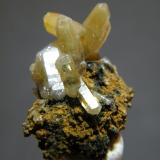 MimetiteTsumeb Mine, Tsumeb, Otjikoto Region, Namibia17mmx24mm (Author: Heimo Hellwig)