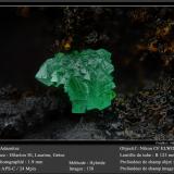 Adamite<br />Hilarion Mine, Hilarion area, Kamariza Mines, Agios Konstantinos, Lavrion Mining District, Attikí (Attica) Prefecture, Greece<br />fov 1.9 mm<br /> (Author: ploum)