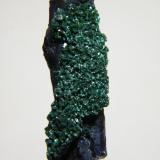 Azurite and Malachite<br />Tsumeb Mine, Tsumeb, Otjikoto Region, Namibia<br />10mmx35mm<br /> (Author: Heimo Hellwig)