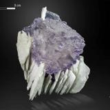 Fluorite on Barite<br />Cuetu L'Aspa, Berbes mining area, Berbes, Ribadesella, Comarca Oriente, Principality of Asturias (Asturias), Spain<br />87 X 55 mm<br /> (Author: Manuel Mesa)