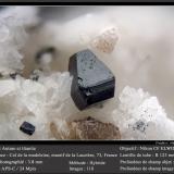 Anatase and TitaniteCol de la Madeleine, Macizo La Lauzière, Saint-Jean-de-Maurienne, Saboya, Auvergne-Rhône-Alpes, Franciafov 3.8 mm (Author: ploum)