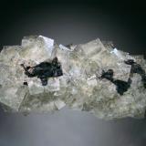Fluorite, Galena<br />Ladywash Mine, Eyam, Derbyshire, England / United Kingdom<br />13x6x5 cm<br /> (Author: Jesse Fisher)