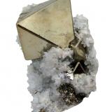 Pyrite, Quartz<br />Huanzala Mine, Huallanca District, Dos de Mayo Province, Huánuco Department, Peru<br />102 mm x 70 mm x 40 mm<br /> (Author: Carles Millan)