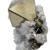 Pyrite, Quartz<br />Huanzala Mine, Huallanca District, Dos de Mayo Province, Huánuco Department, Peru<br />102 mm x 70 mm x 40 mm<br /> (Author: Carles Millan)