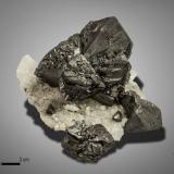 Sphalerite<br />Elmwood Mine, Carthage, Central Tennessee Ba-F-Pb-Zn District, Smith County, Tennessee, USA<br />83 x 70 mm<br /> (Author: Manuel Mesa)