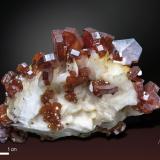 Vanadinite on Barite<br />ACF Mine, Mibladen mining district, Mibladen, Midelt, Midelt Province, Drâa-Tafilalet Region, Morocco<br />40 x 20 mm<br /> (Author: Manuel Mesa)