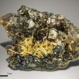 Rutile and Hematite on Quartz<br />Novo Horizonte, Bahia, Northeast Region, Brazil<br />113 x 92 mm<br /> (Author: Manuel Mesa)