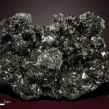 Galena and Sphalerite<br />Mogilata Deposit, September Mine (9th of September Mine) , Madan mining area, Rhodope Mountains, Smolyan Oblast, Bulgaria<br />135 x 92 mm<br /> (Author: Manuel Mesa)