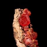 Rhodochrosite<br />Uchucchacua Mine, Oyón Province, Lima Department, Peru<br />51 mm x 24 mm<br /> (Author: Don Lum)