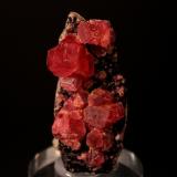 Rhodochrosite<br />Uchucchacua Mine, Oyón Province, Lima Department, Peru<br />51 mm x 24 mm<br /> (Author: Don Lum)