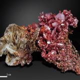 Vanadinite on BariteMibladen (distrito minero Mibladen), Midelt, Provincia Midelt, Región Drâa-Tafilalet, Marruecos114 x 72 mm (Author: Manuel Mesa)