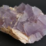 Fluorite and BaryteBerbes mining area, Berbes, Ribadesella, Comarca Oriente, Principality of Asturias (Asturias), Spain90mm x 60mm x 30mm (Author: Philippe Durand)