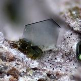 Roedderita<br />Volcán de Cancarix, Sierra de las Cabras, Cancarix, Hellín, Comarca Campos de Hellín, Albacete, Castilla-La Mancha, España<br />Campo de visión 1,5 mm<br /> (Autor: Juan Miguel)